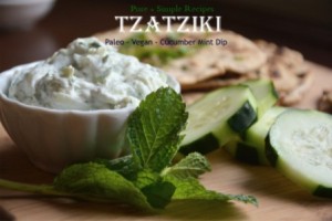 Dairy Free Tzatziki - Paleo, Soy Free, Nut Free, Vegan