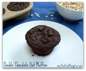 Double Chocolate Muffins (Gluten Free, Dairy Free, Nut Free, Vegan, Allergy Friendly)