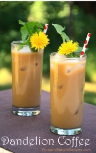 Dandelion Root Coffee - Dairy Free