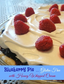 Blueberry Pie Homemade Whipped Cream - dairy free