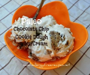 Paleo Chocolate Chip Cookie Dough Ice Cream - Dairy Free, Nut Free