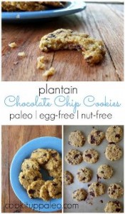 Plantain Chocolate Chip Cookies - egg, dairy, wheat, nut free
