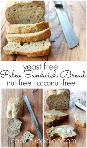 Yeast Free Paleo Sandwich Bread - nut free