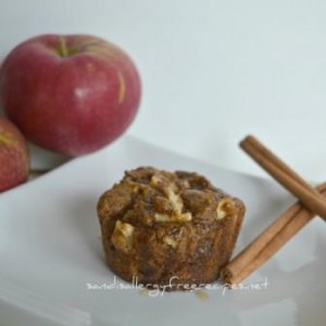 Apple Fritter Muffins - Gluten Free, Vegan, Nut Free