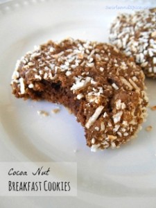 Cocoa Nut Breakfast Cookie
